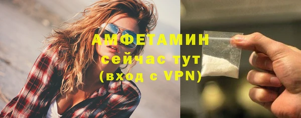 ГАЛЛЮЦИНОГЕННЫЕ ГРИБЫ Белокуриха