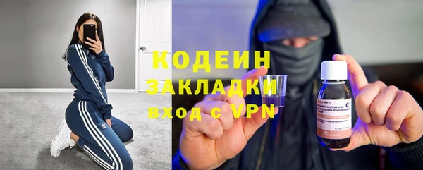 ГАЛЛЮЦИНОГЕННЫЕ ГРИБЫ Белокуриха