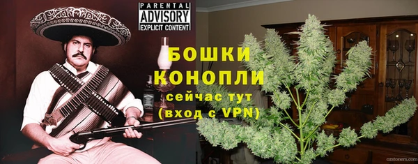 ГАЛЛЮЦИНОГЕННЫЕ ГРИБЫ Белокуриха